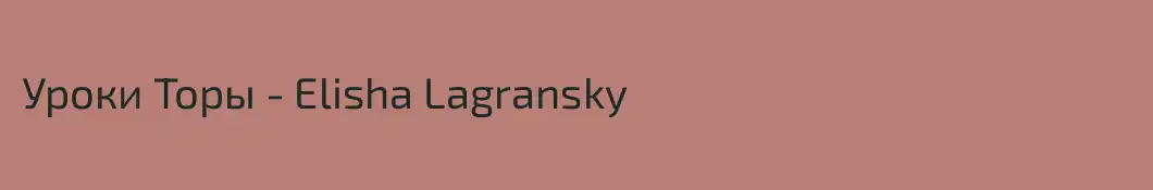 Уроки Торы - Elisha Lagransky